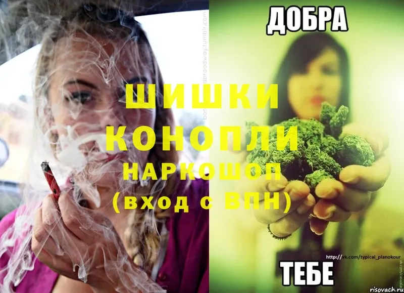 где купить   Грозный  Конопля OG Kush 